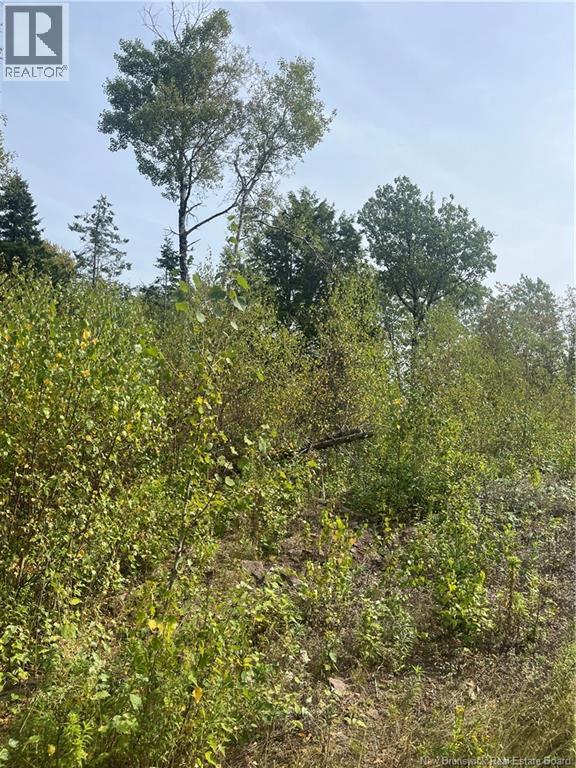 96 Hilltop Drive, Hampton, New Brunswick  E5N 5P2 - Photo 16 - NB119124