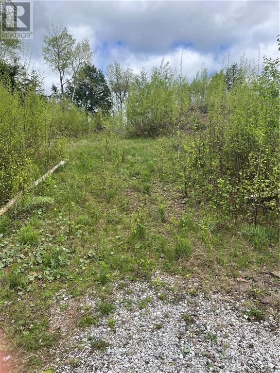 96 Hilltop Drive, Hampton, New Brunswick  E5N 5P2 - Photo 3 - NB119124