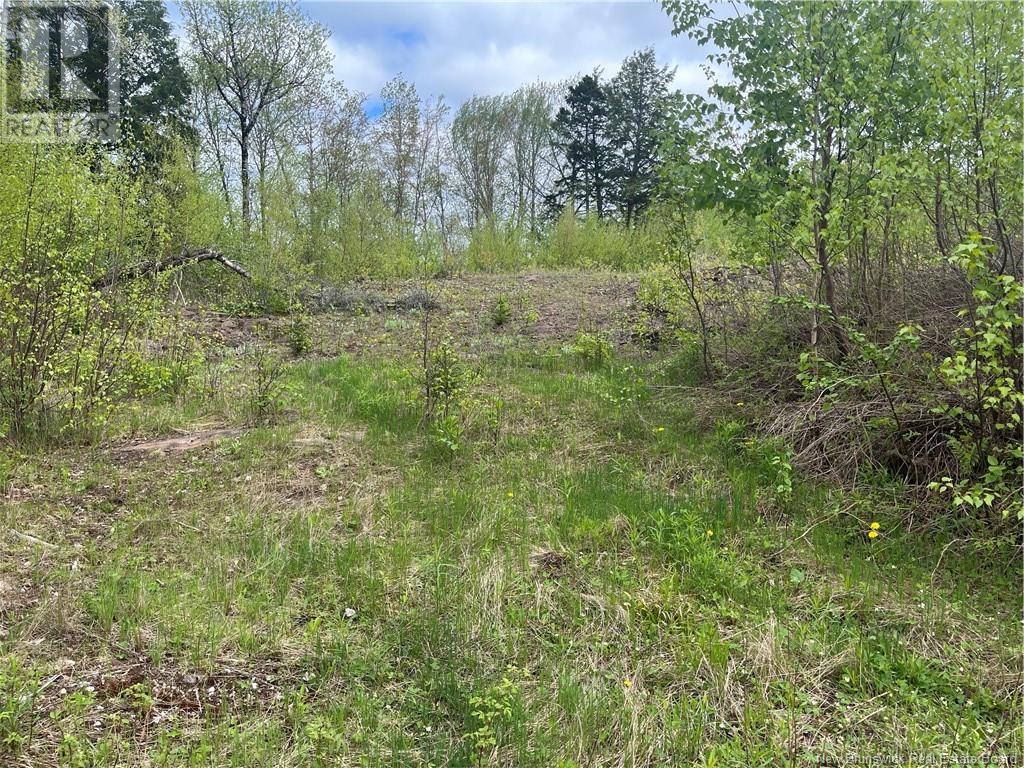96 Hilltop Drive, Hampton, New Brunswick  E5N 5P2 - Photo 4 - NB119124