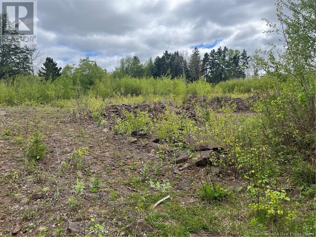 96 Hilltop Drive, Hampton, New Brunswick  E5N 5P2 - Photo 8 - NB119124