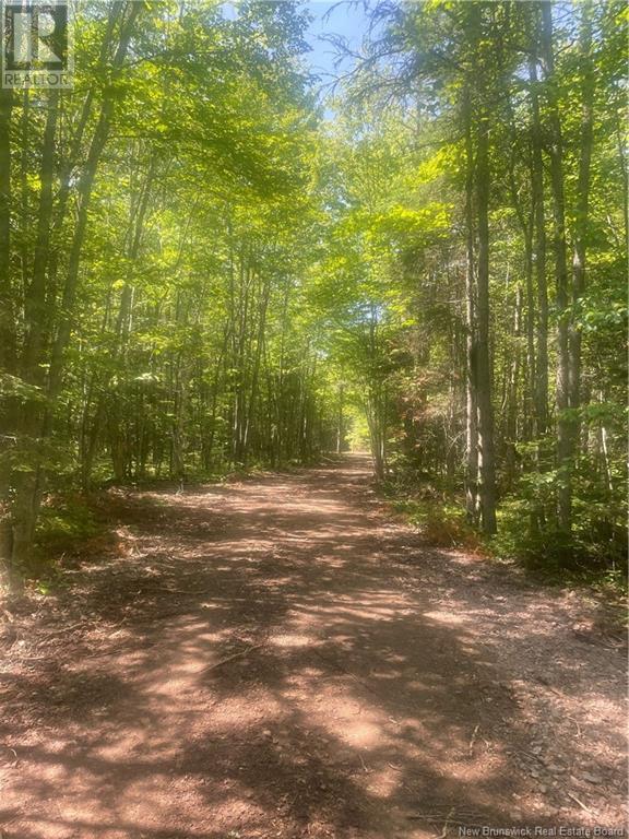 Lot 24-1 Cox Point Road, Cumberland Bay, New Brunswick  E4A 2Y8 - Photo 3 - NB119205