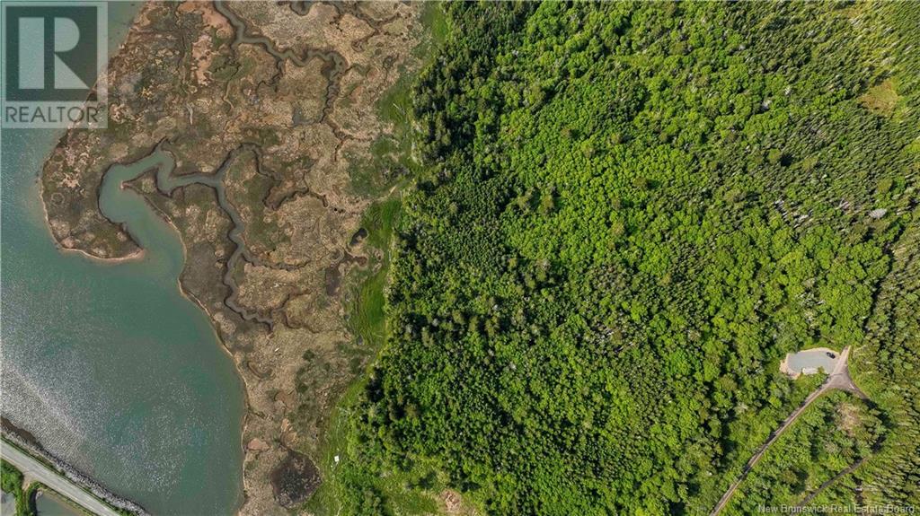 Lot A Old Shore Road, Tynemouth Creek, New Brunswick  E5R 1V8 - Photo 3 - NB119191