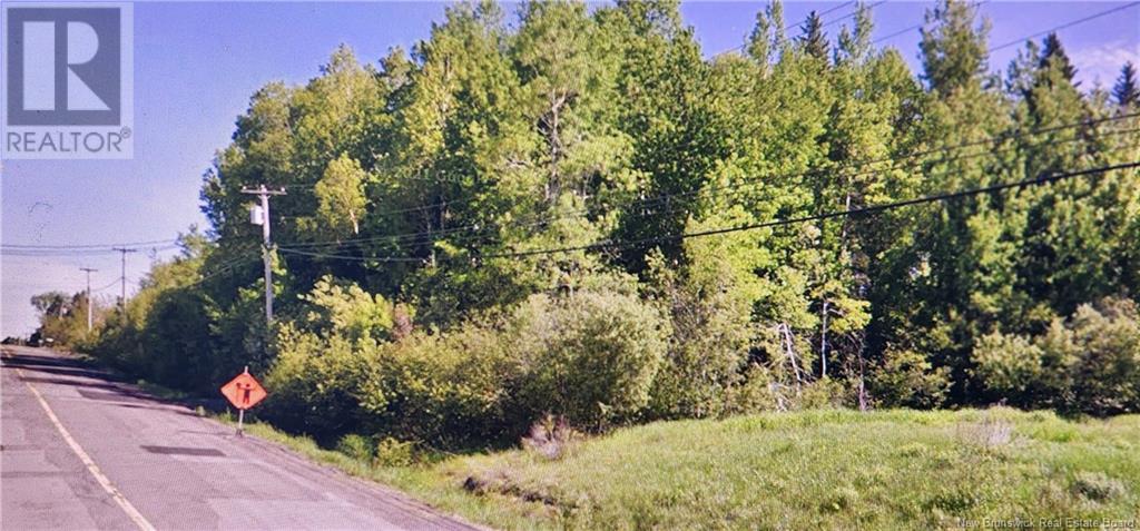 Land Mapleton, Mapleton, New Brunswick  E1G 2K6 - Photo 4 - NB117715