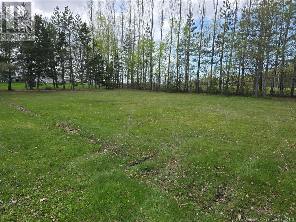 1603 Route 340, Canobie, New Brunswick  E2A 5G7 - Photo 9 - NB119210