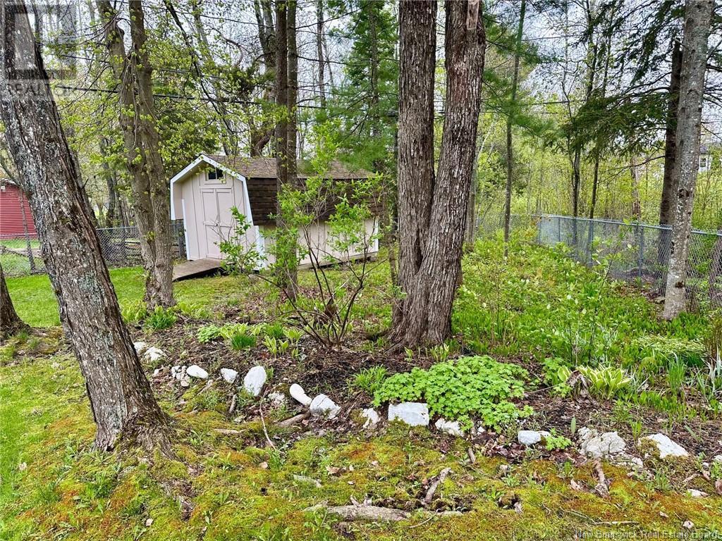 265 Randall Drive, Riverview, New Brunswick  E1B 2V1 - Photo 5 - NB118934