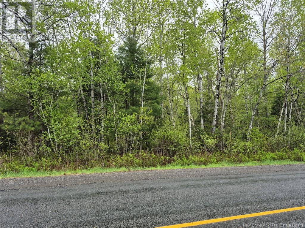 Lot 3 Rte 617, Burtts Corner, New Brunswick  E6L 2S2 - Photo 1 - NB119281