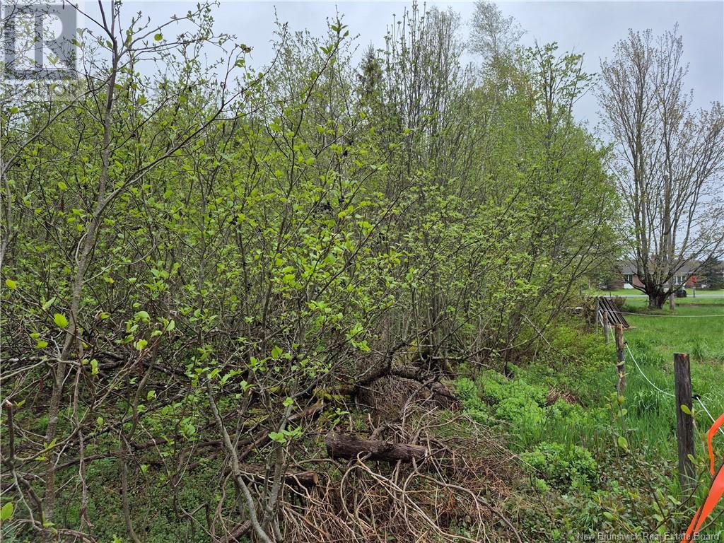 Lot 3 Rte 617, Burtts Corner, New Brunswick  E6L 2S2 - Photo 12 - NB119281