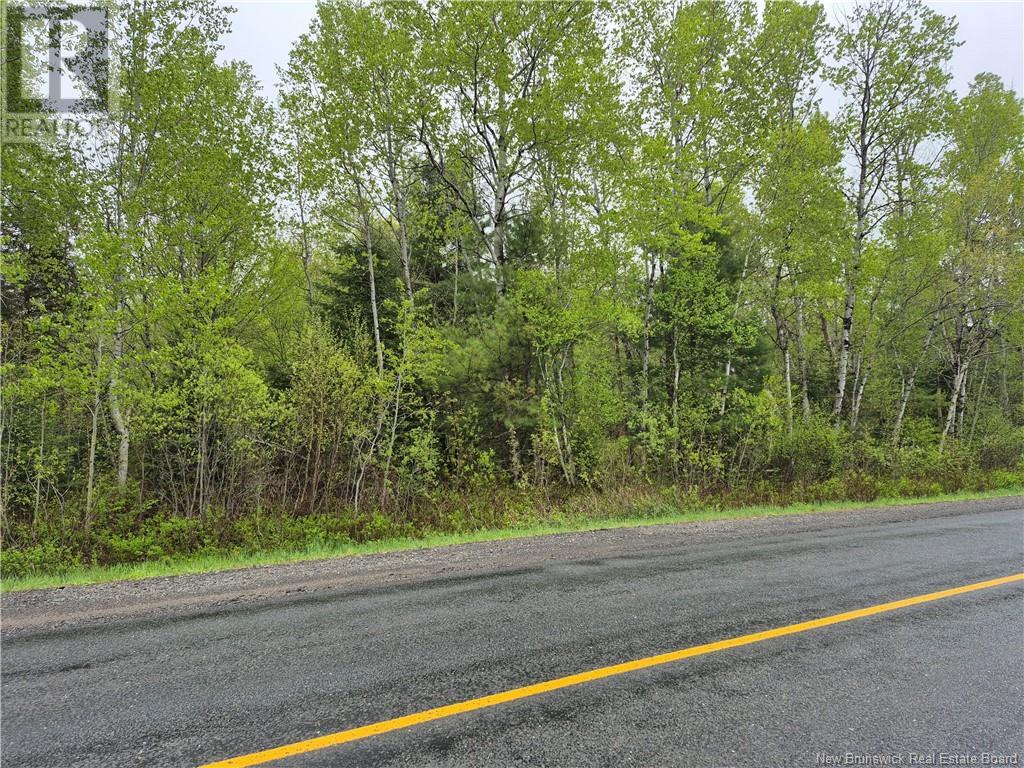 Lot 3 Rte 617, Burtts Corner, New Brunswick  E6L 2S2 - Photo 2 - NB119281