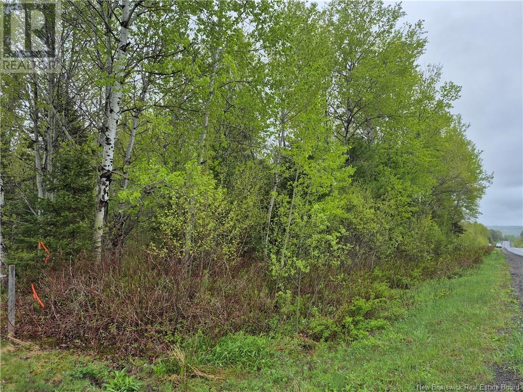 Lot 3 Rte 617, Burtts Corner, New Brunswick  E6L 2S2 - Photo 3 - NB119281