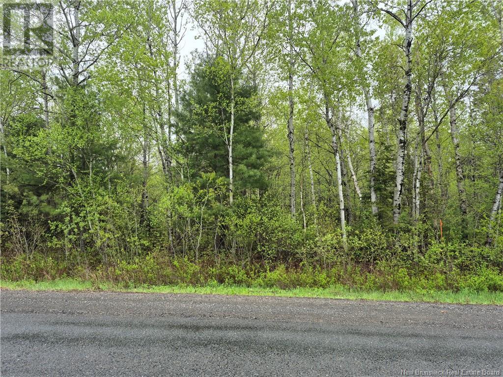 Lot 3 Rte 617, Burtts Corner, New Brunswick  E6L 2S2 - Photo 4 - NB119281