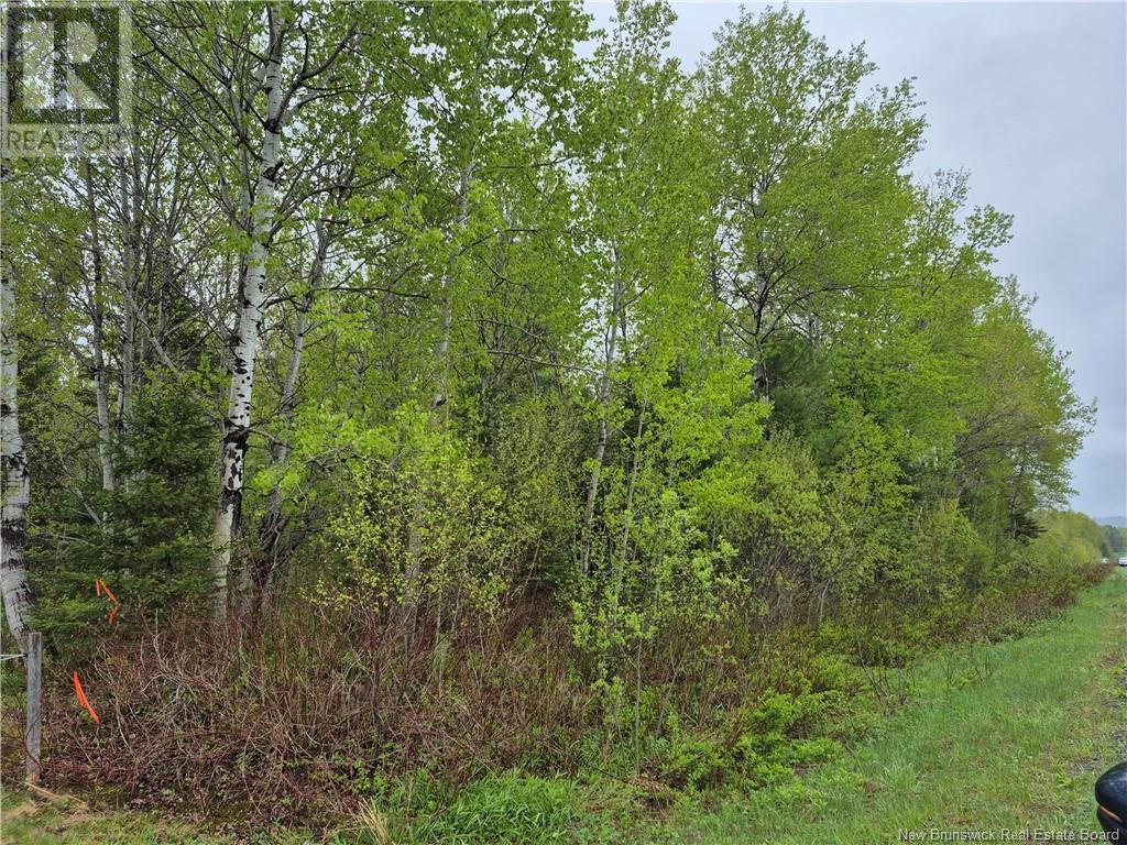 Lot 3 Rte 617, Burtts Corner, New Brunswick  E6L 2S2 - Photo 5 - NB119281