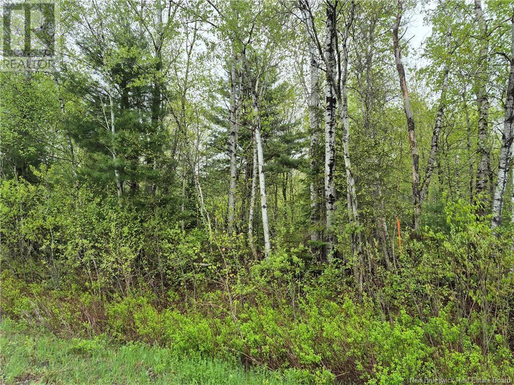 Lot 3 Rte 617, Burtts Corner, New Brunswick  E6L 2S2 - Photo 8 - NB119281