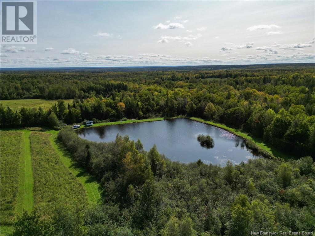 195 Centreville Road, Cross Creek, New Brunswick  E6B 2J5 - Photo 10 - NB119033