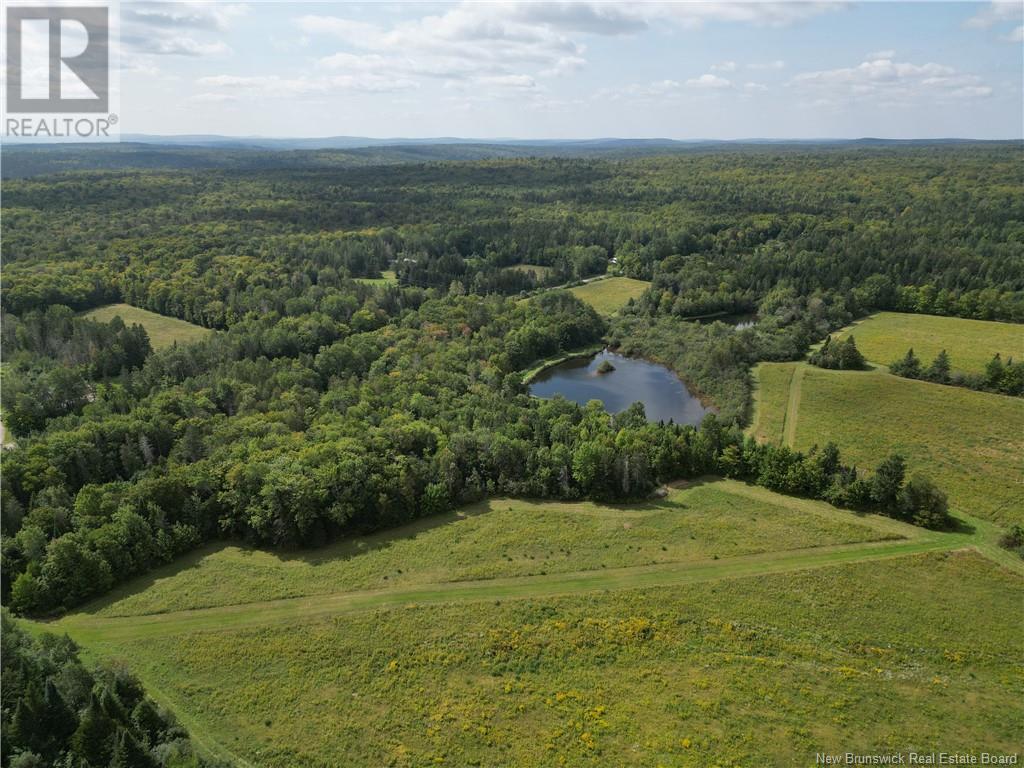 195 Centreville Road, Cross Creek, New Brunswick  E6B 2J5 - Photo 11 - NB119033