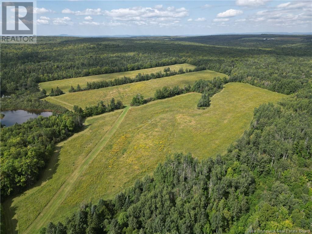 195 Centreville Road, Cross Creek, New Brunswick  E6B 2J5 - Photo 12 - NB119033