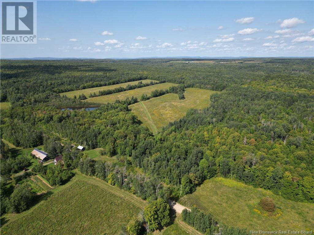 195 Centreville Road, Cross Creek, New Brunswick  E6B 2J5 - Photo 8 - NB119033