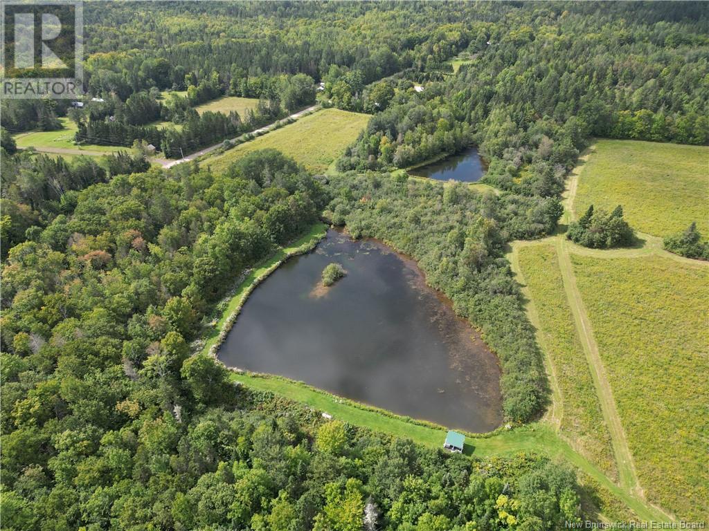 195 Centreville Road, Cross Creek, New Brunswick  E6B 2H5 - Photo 27 - NB119026