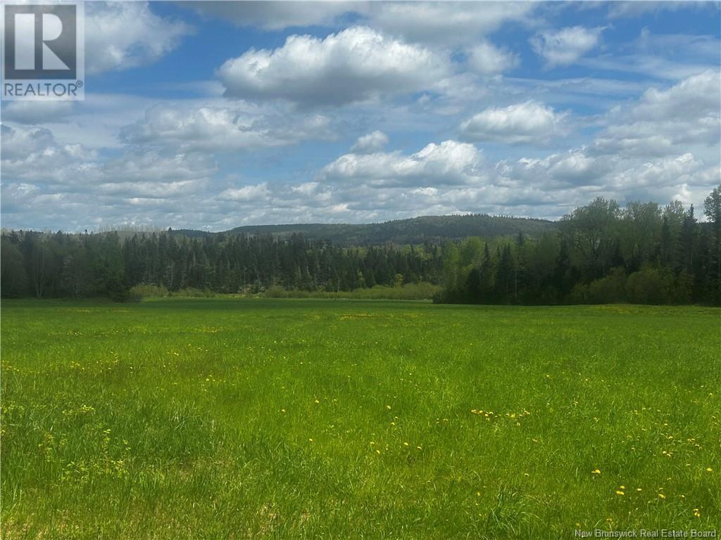 Rte 870, Belleisle Creek, New Brunswick  E5P 1H7 - Photo 1 - NB119316