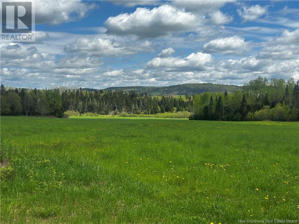 Rte 870, Belleisle Creek, New Brunswick  E5P 1H7 - Photo 2 - NB119316
