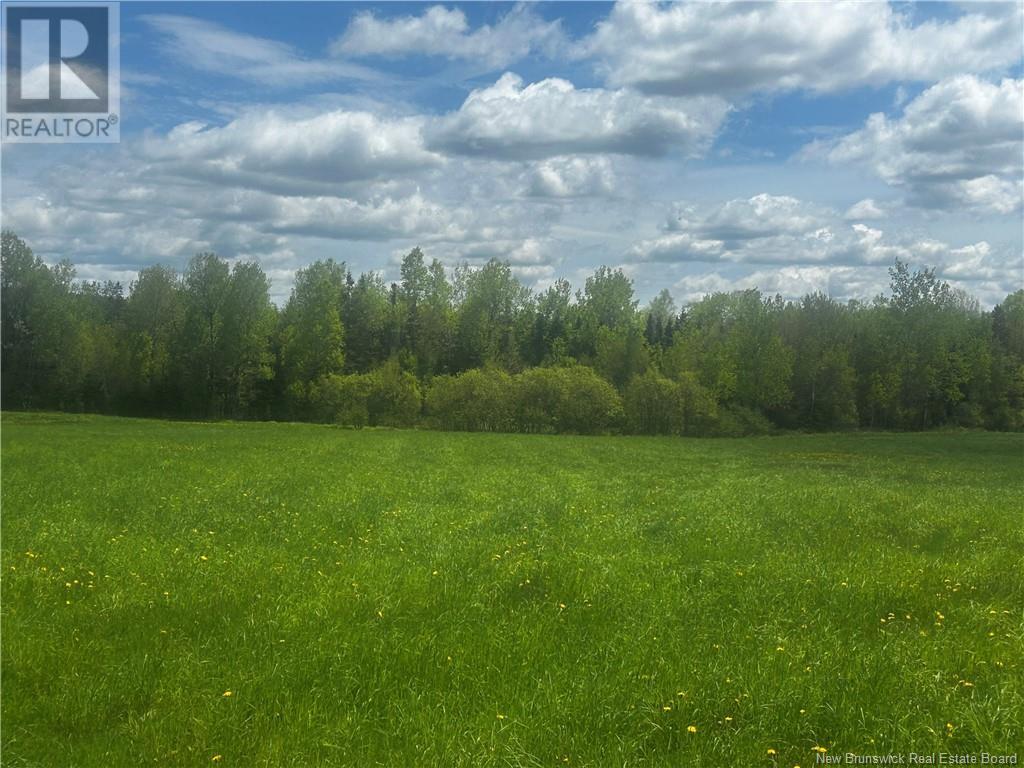 Rte 870, Belleisle Creek, New Brunswick  E5P 1H7 - Photo 3 - NB119316