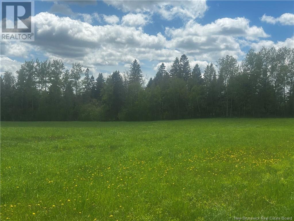 Rte 870, Belleisle Creek, New Brunswick  E5P 1H7 - Photo 4 - NB119316