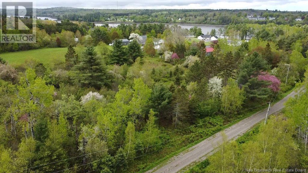 196 Ledge Road, Dufferin, New Brunswick  E3L 3P2 - Photo 1 - NB119227