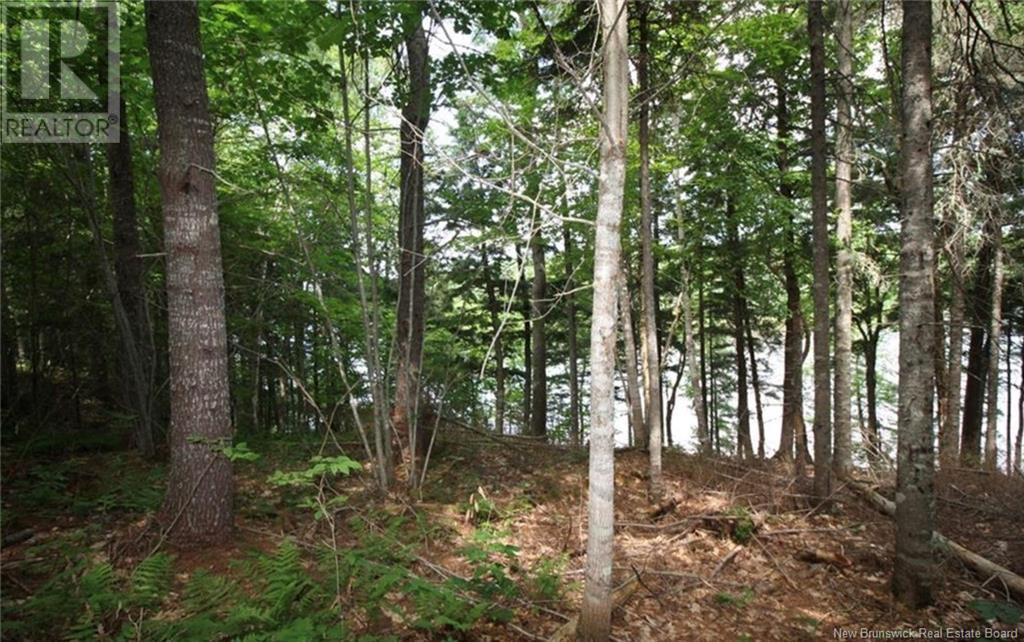 15-60 Bass River Point Road, Bass River, New Brunswick  E4T 1J3 - Photo 3 - NB119267