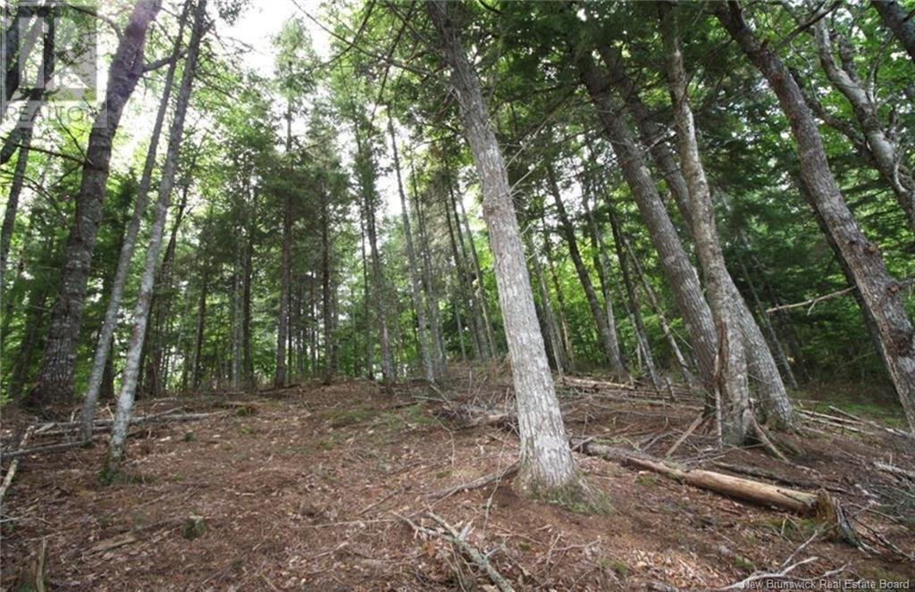 15-60 Bass River Point Road, Bass River, New Brunswick  E4T 1J3 - Photo 5 - NB119267
