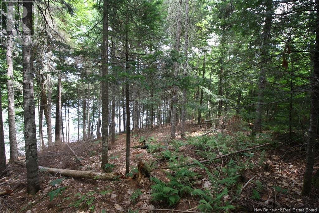 15-59 Bass River Point Route, Bass River, New Brunswick  E4T 1J3 - Photo 3 - NB119265