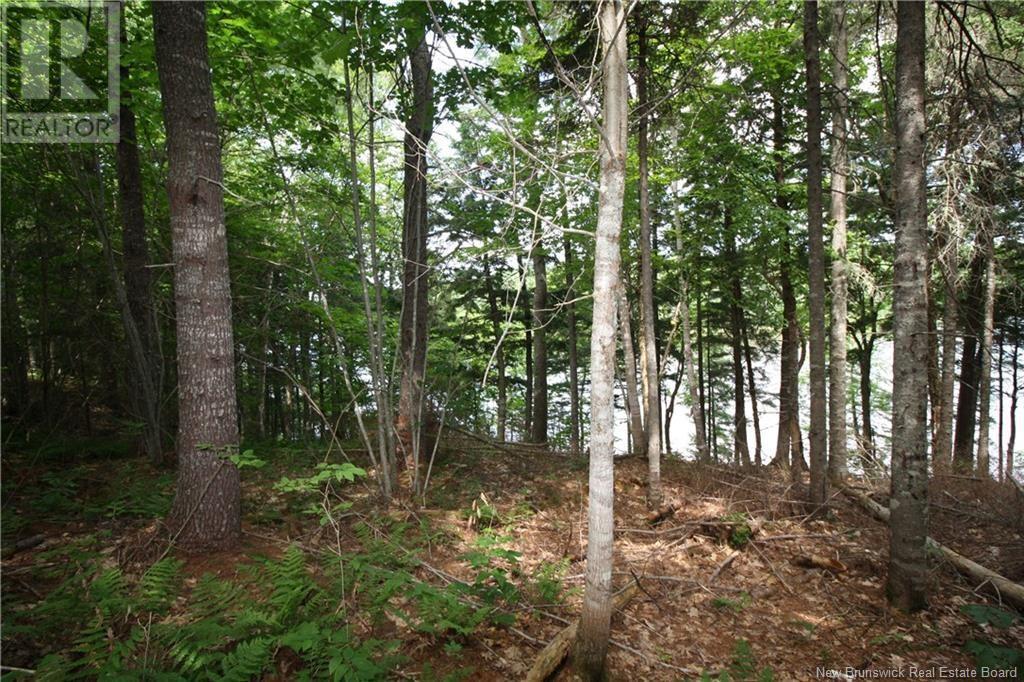 15-59 Bass River Point Route, Bass River, New Brunswick  E4T 1J3 - Photo 4 - NB119265