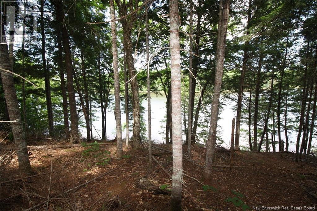 15-59 Bass River Point Route, Bass River, New Brunswick  E4T 1J3 - Photo 5 - NB119265
