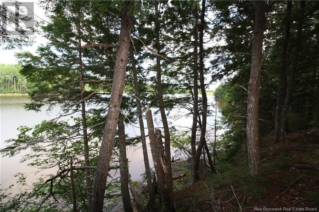 15-59 Bass River Point Route, Bass River, New Brunswick  E4T 1J3 - Photo 8 - NB119265