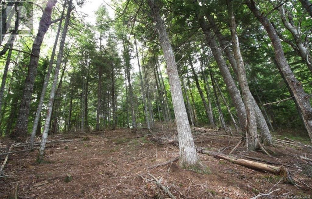 15-57 Bass River Point Road, Bass River, New Brunswick  E4T 1J3 - Photo 5 - NB119262