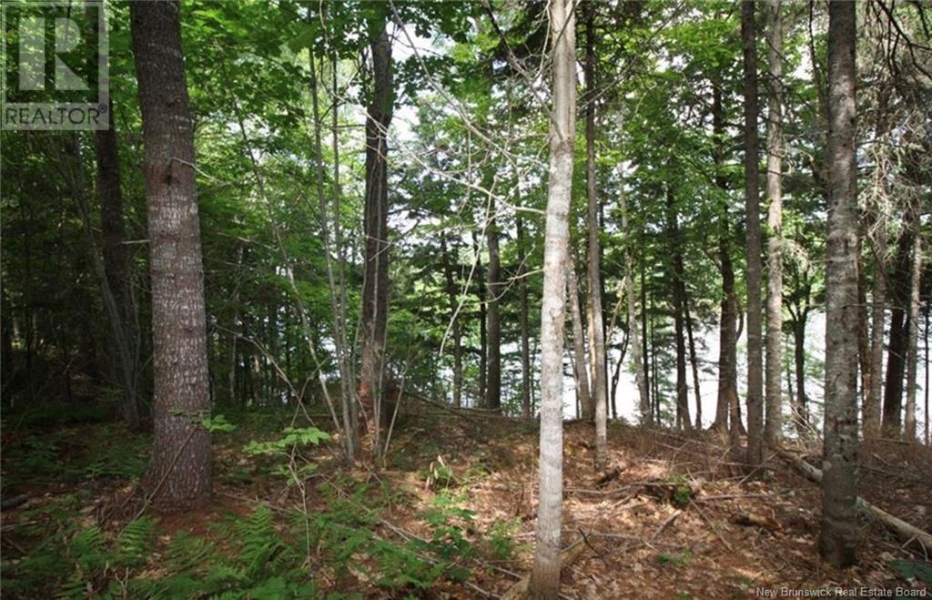 15-57 Bass River Point Road, Bass River, New Brunswick  E4T 1J3 - Photo 6 - NB119262