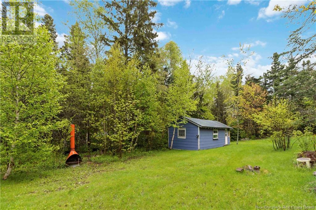 Before 96 River Road, Elgin, New Brunswick  E4K 2J2 - Photo 3 - NB118519