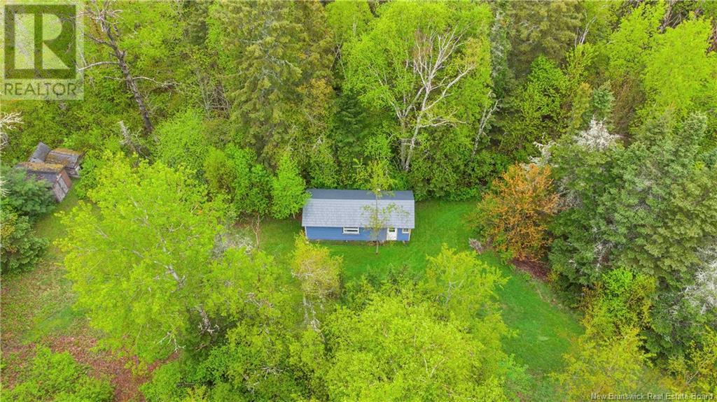 Before 96 River Road, Elgin, New Brunswick  E4K 2J2 - Photo 33 - NB118519