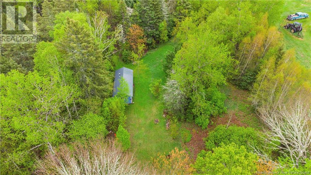 Before 96 River Road, Elgin, New Brunswick  E4K 2J2 - Photo 34 - NB118519