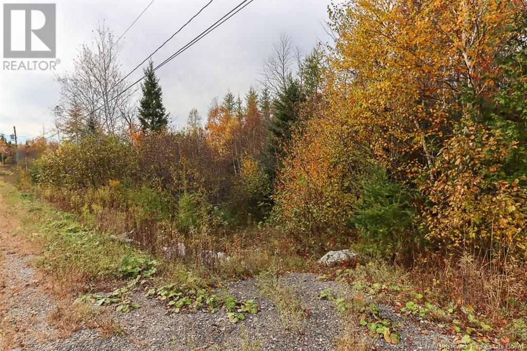19 Bridgeford Drive, Quispamsis, New Brunswick  E2S 0C3 - Photo 22 - NB119409