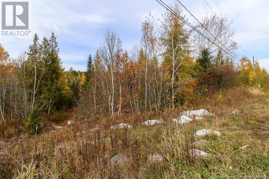 19 Bridgeford Drive, Quispamsis, New Brunswick  E2S 0C3 - Photo 6 - NB119409