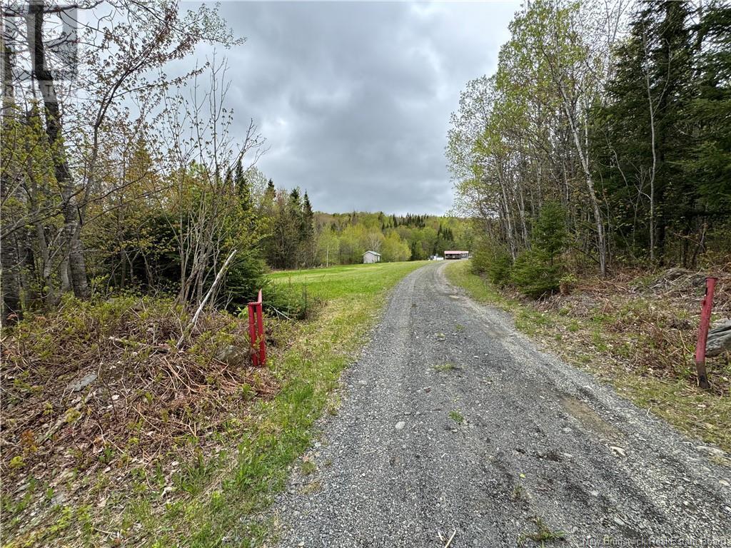 292 Chemin Ruisseau à Thibodeau, Saint-Basile, New Brunswick  E7C 2L8 - Photo 1 - NB119398