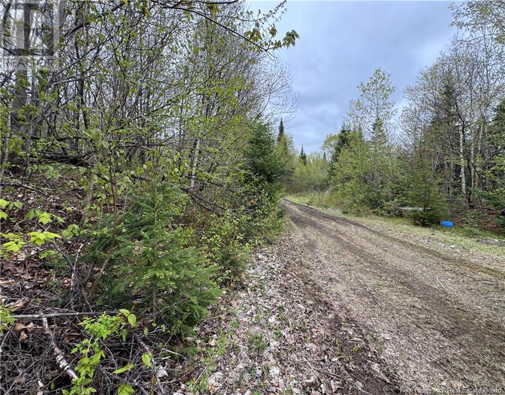 292 Chemin Ruisseau à Thibodeau, Saint-Basile, New Brunswick  E7C 2L8 - Photo 12 - NB119398