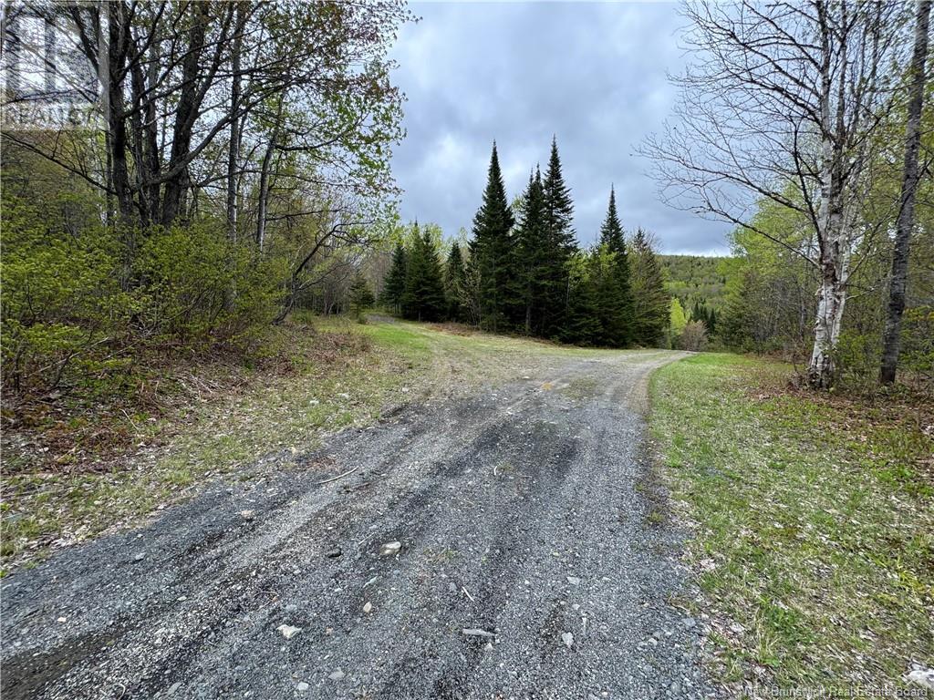 292 Chemin Ruisseau à Thibodeau, Saint-Basile, New Brunswick  E7C 2L8 - Photo 15 - NB119398