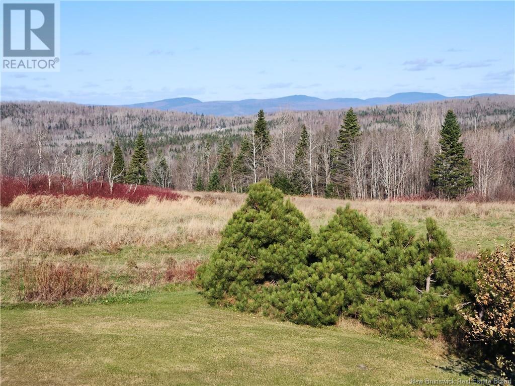 2187 Mckendrick Chemin, Val-D'amour, New Brunswick  E3N 5K3 - Photo 18 - NB119421