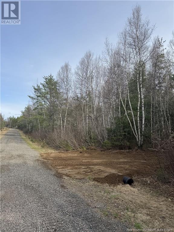 25026113 Chemin St Charles Sud, Saint-Charles, New Brunswick  E4W 4V6 - Photo 2 - NB119356
