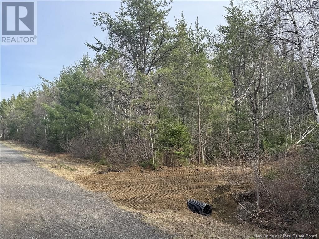 25026113 Chemin St Charles Sud, Saint-Charles, New Brunswick  E4W 4V6 - Photo 3 - NB119356