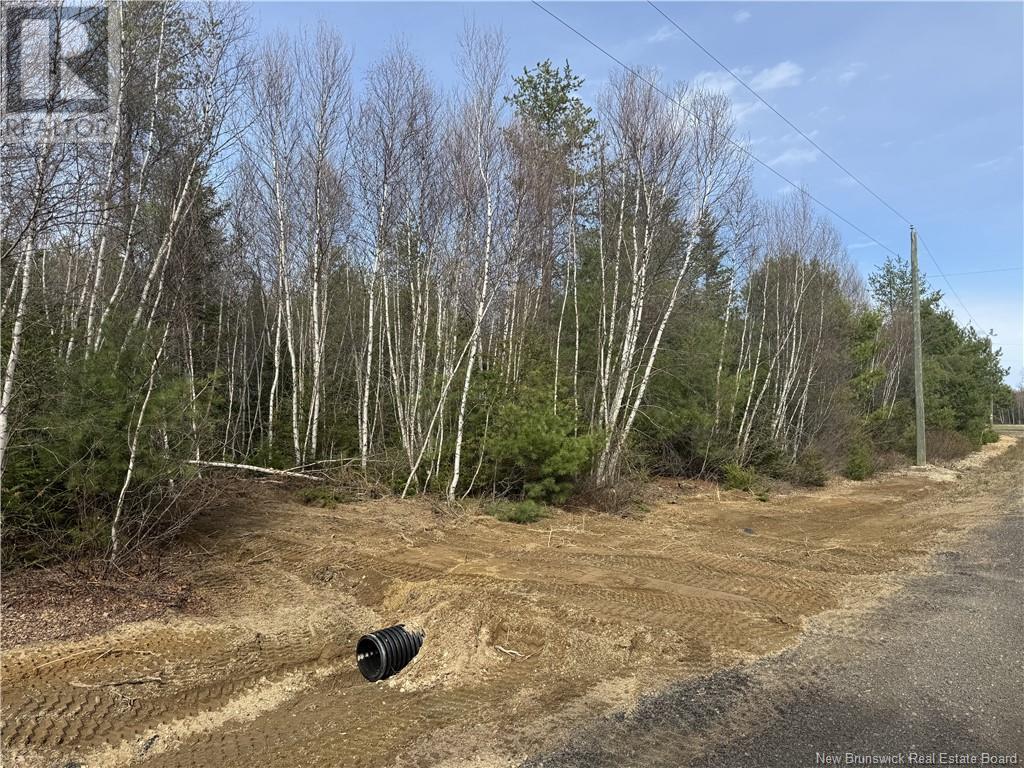 25026113 Chemin St Charles Sud, Saint-Charles, New Brunswick  E4W 4V6 - Photo 4 - NB119356