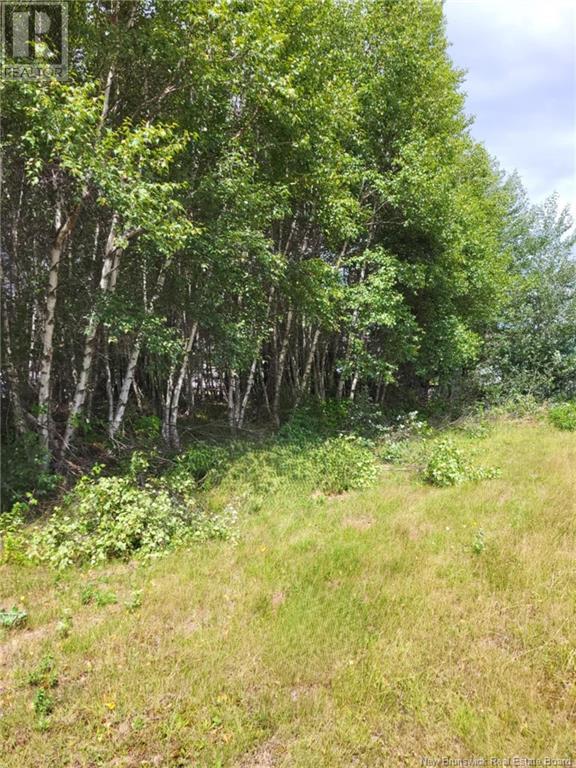 Lot D Richard Route 535, Saint-Thomas-De-Kent, New Brunswick  E1H 1V8 - Photo 2 - NB119426