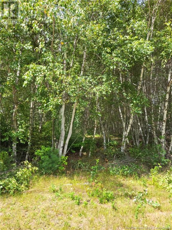 Lot D Richard Route 535, Saint-Thomas-De-Kent, New Brunswick  E1H 1V8 - Photo 3 - NB119426