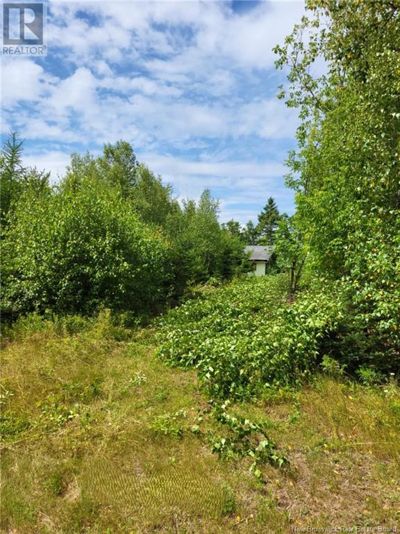 Lot D Richard Route 535, Saint-Thomas-De-Kent, New Brunswick  E1H 1V8 - Photo 4 - NB119426