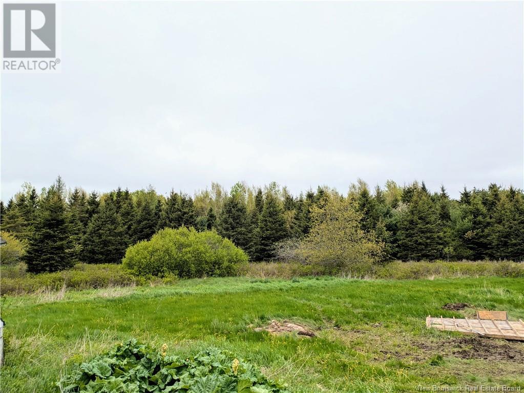 4351 Route 106, Petitcodiac, New Brunswick  E4Z 3K2 - Photo 3 - NB119298